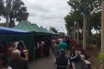 Día de Canarias en Telde, en imágenes (II) (Foto TA e Ildefonso Rodríguez)